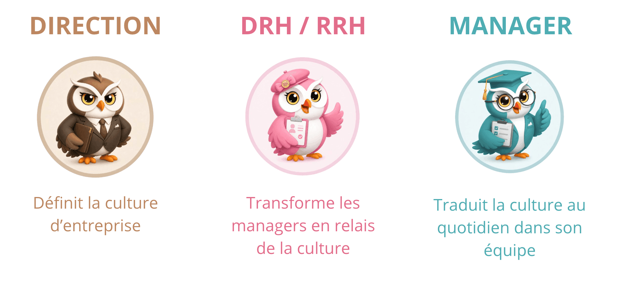 Rôles dans la culture d'entreprise : la direction la définit, le DRH et les managers la relaient au quotidien